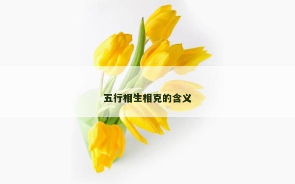 五行相生相克的含义