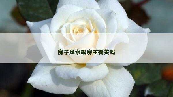房子风水跟房主有关吗
