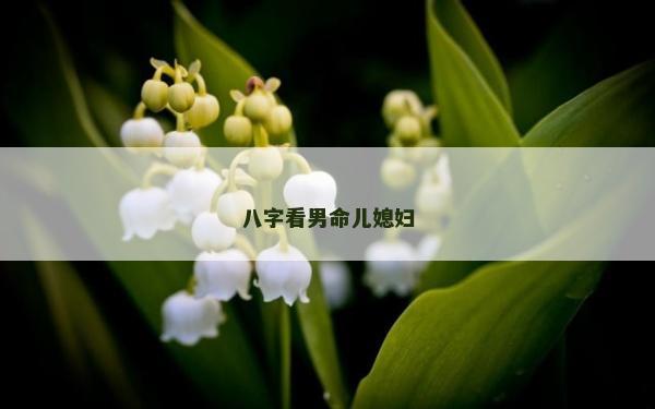 八字看男命儿媳妇