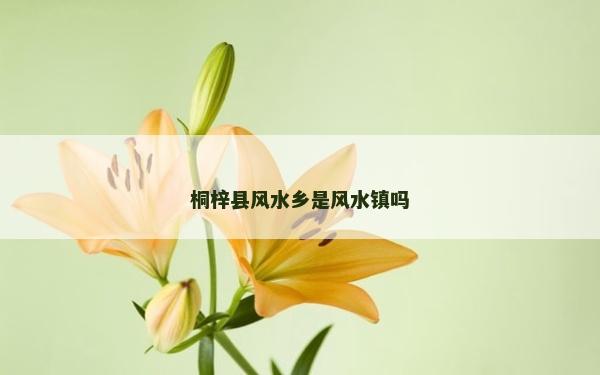 桐梓县风水乡是风水镇吗