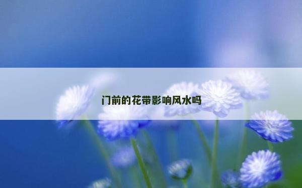 门前的花带影响风水吗