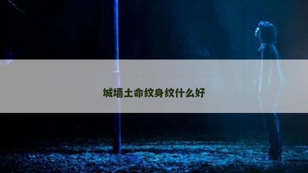 城墙土命纹身纹什么好
