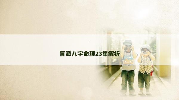 盲派八字命理23集解析