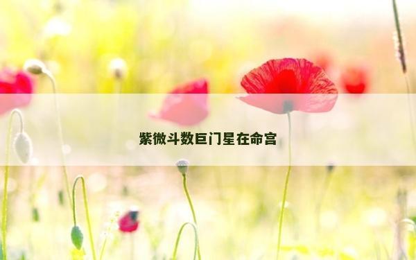 紫微斗数巨门星在命宫