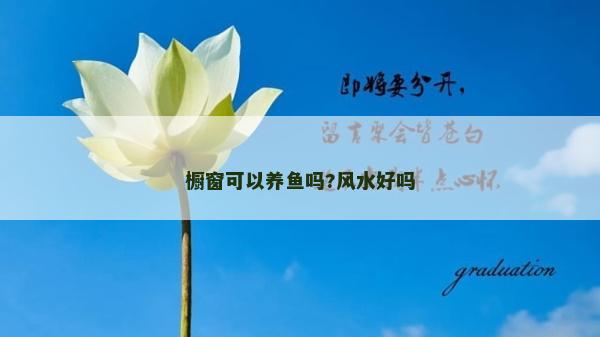 橱窗可以养鱼吗?风水好吗