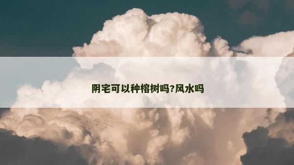 阴宅可以种榕树吗?风水吗