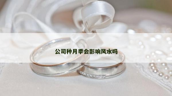 公司种月季会影响风水吗