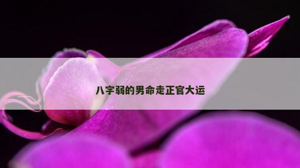 八字弱的男命走正官大运