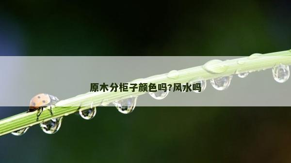 原木分柜子颜色吗?风水吗