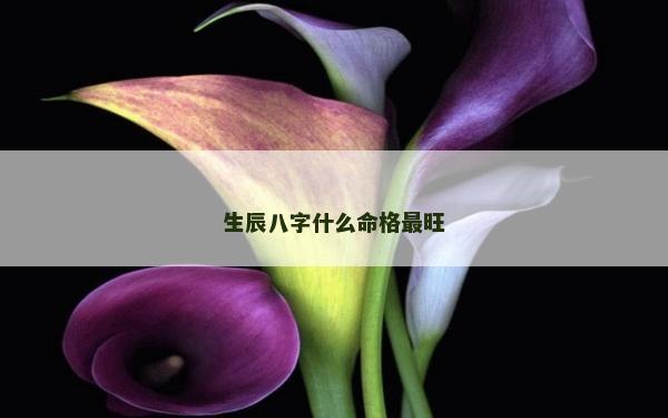 生辰八字什么命格最旺