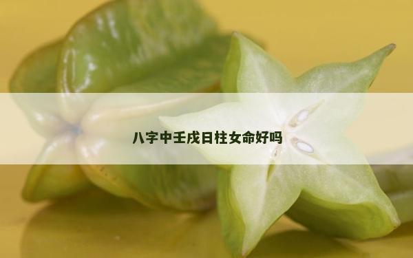 八字中壬戌日柱女命好吗