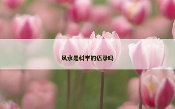 风水是科学的语录吗