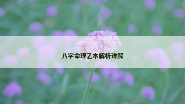 八字命理乙木解析详解