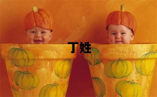 丁姓吉利的男宝宝名字