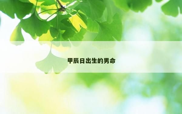 甲辰日出生的男命
