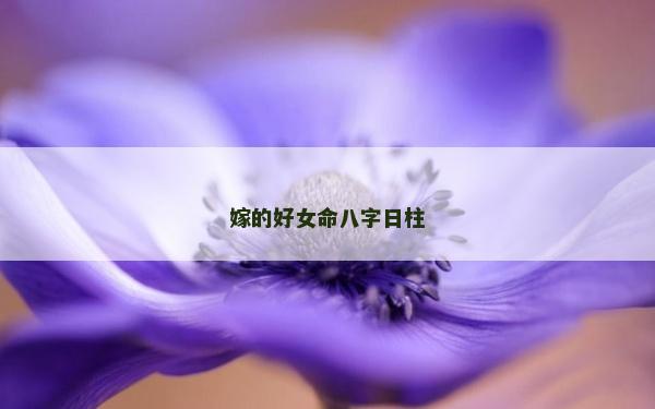 嫁的好女命八字日柱