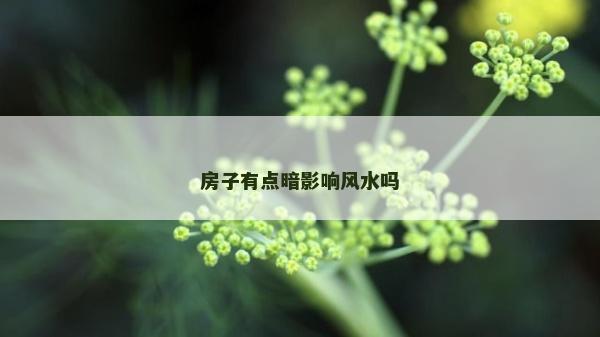 房子有点暗影响风水吗