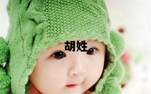 胡姓有诗意的男孩名字,取什么名字好