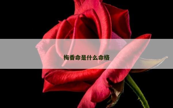 梅香命是什么命格