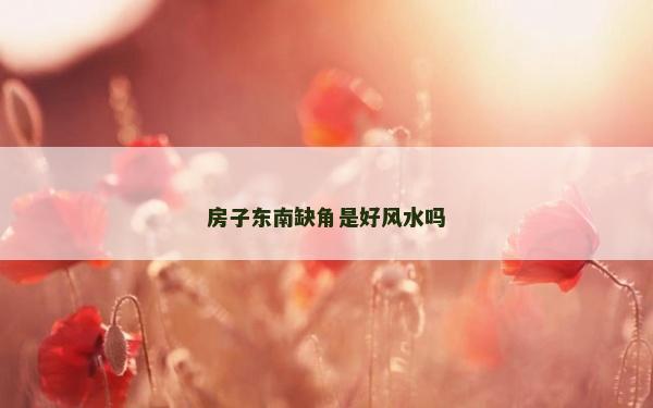 房子东南缺角是好风水吗