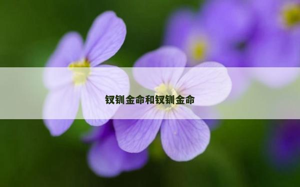 钗钏金命和钗钏金命