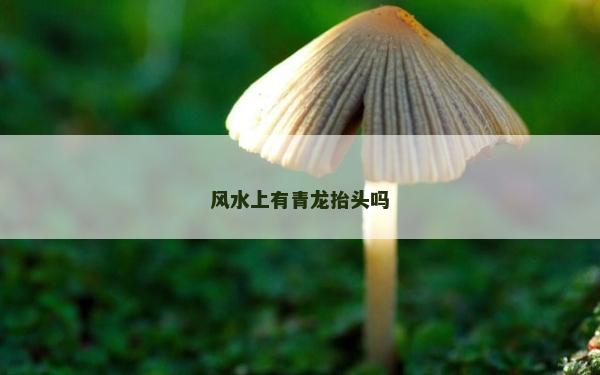 风水上有青龙抬头吗