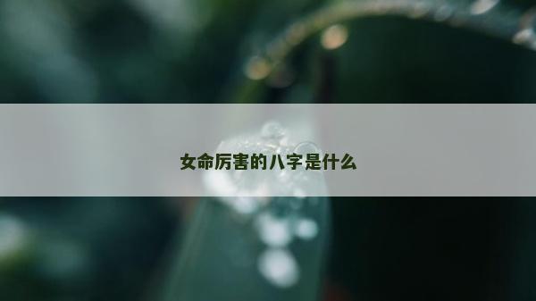 女命厉害的八字是什么