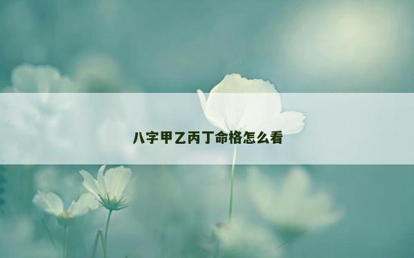 八字甲乙丙丁命格怎么看