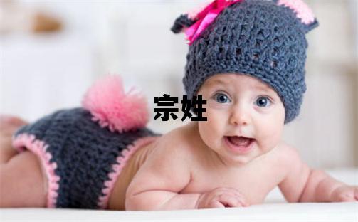 宗姓有灵气的男宝宝名字