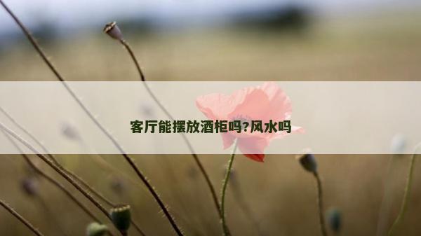 客厅能摆放酒柜吗?风水吗