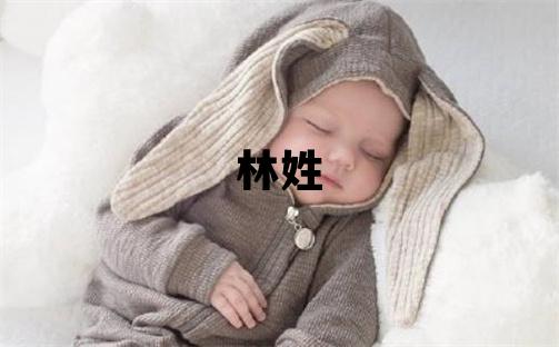 林姓洋气的女孩名字