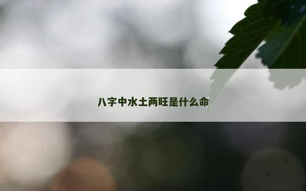 八字中水土两旺是什么命