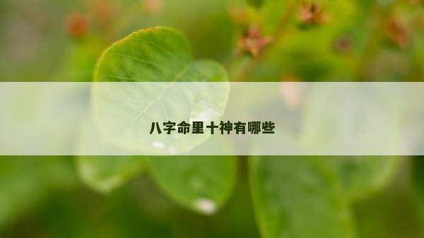 八字命里十神有哪些