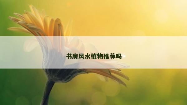 书房风水植物推荐吗