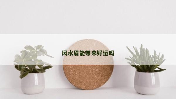 风水眉能带来好运吗