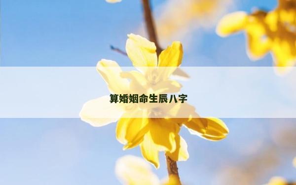 算婚姻命生辰八字