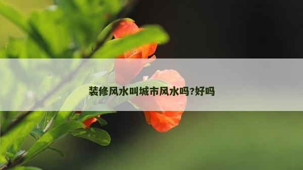 装修风水叫城市风水吗?好吗