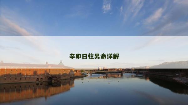 辛卯日柱男命详解