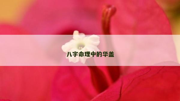 八字命理中的华盖