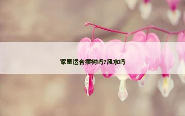 家里适合摆树吗?风水吗
