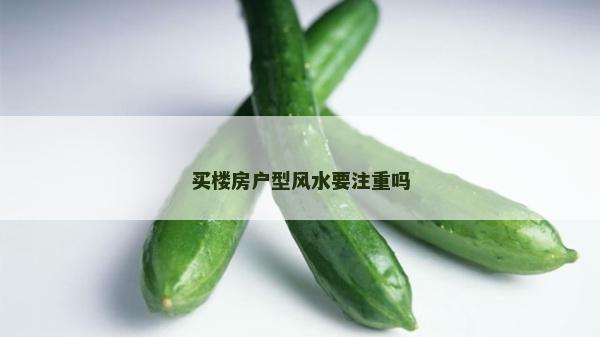 买楼房户型风水要注重吗
