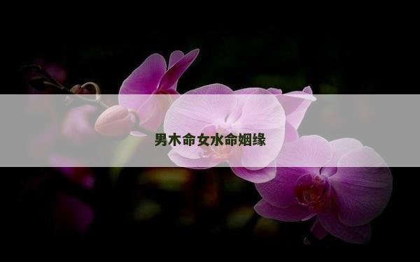 男木命女水命姻缘