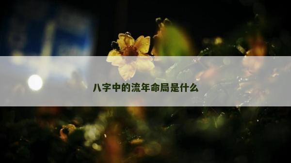 八字中的流年命局是什么