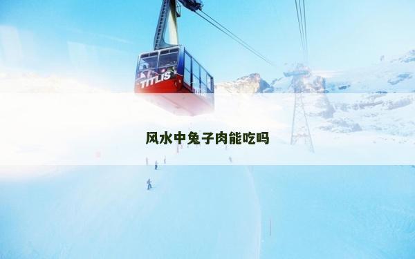 风水中兔子肉能吃吗