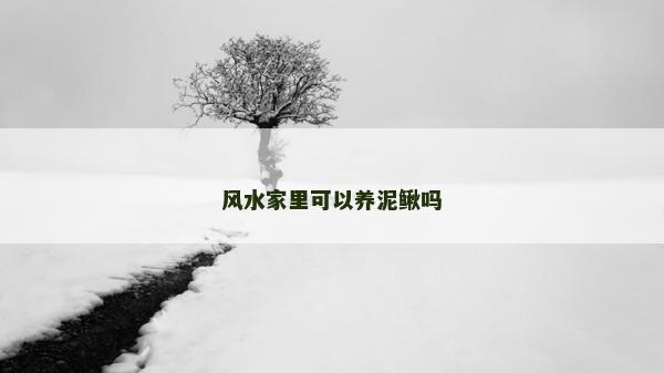风水家里可以养泥鳅吗