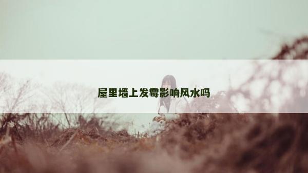 屋里墙上发霉影响风水吗