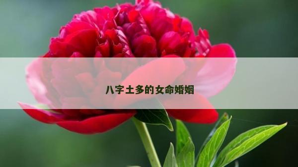八字土多的女命婚姻