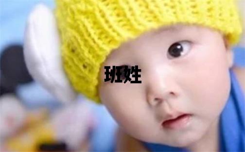 班姓有创意的男宝宝名字