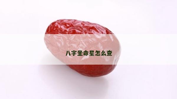 八字坐命星怎么查