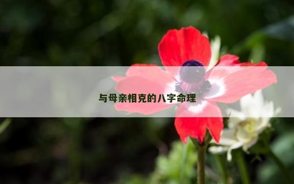 与母亲相克的八字命理